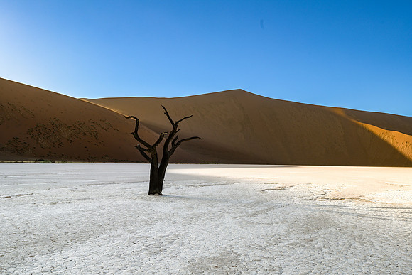 20220419_namibia-2670.jpg
