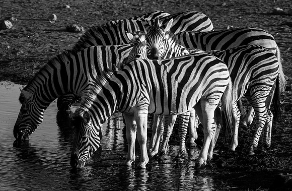 20220419_namibia-19948.jpg