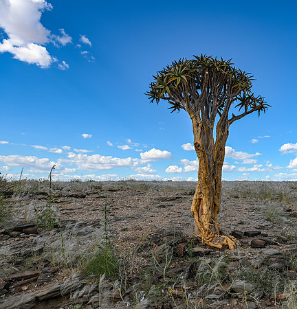 20220419_namibia-8508.jpg