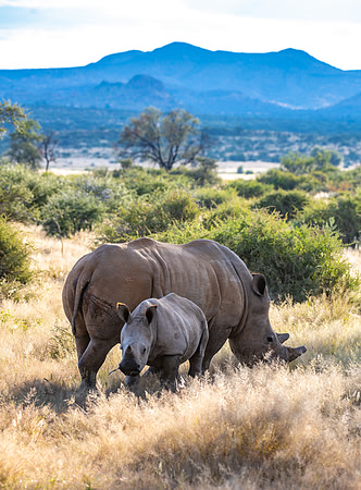 20220419_namibia-170.jpg