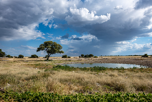 20220419_namibia-17192.jpg