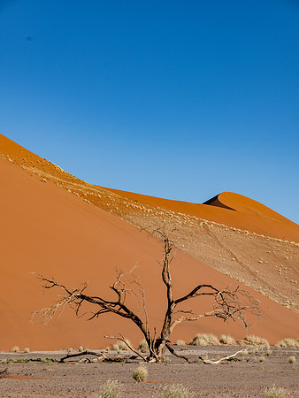 20220419_namibia-6987.jpg