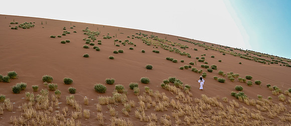 20220419_namibia-3567.jpg
