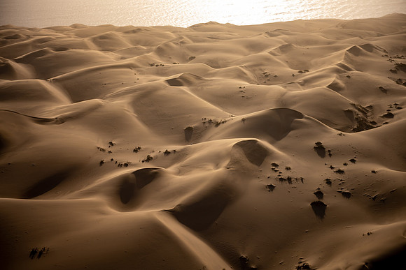 20220419_namibia-2783.jpg