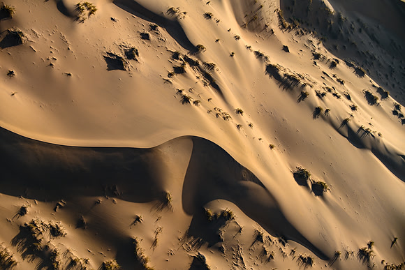 20220419_namibia-295.jpg