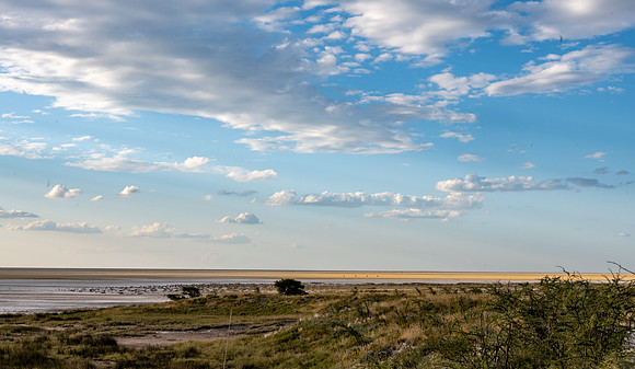 20220419_namibia-16786.jpg