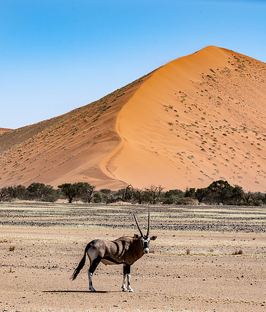 20220419_namibia-6545.jpg