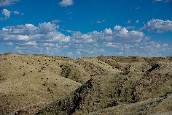 20220419_namibia-9657.jpg