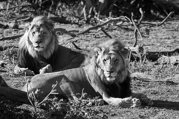 20220419_namibia-7522-2.jpg