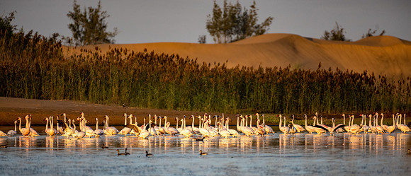 20220419_namibia-11551.jpg