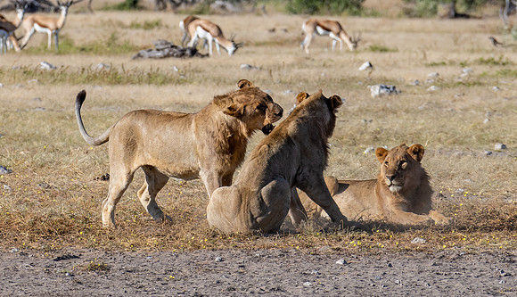 20220419_namibia-20763.jpg