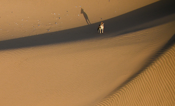 20220419_namibia-1729-2.jpg
