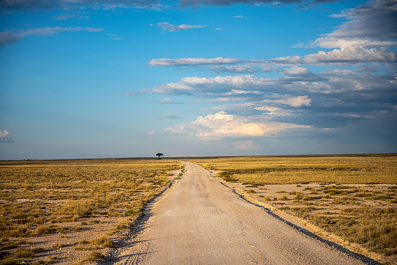20220419_namibia-17398.jpg
