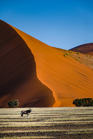 20220419_namibia-7186.jpg