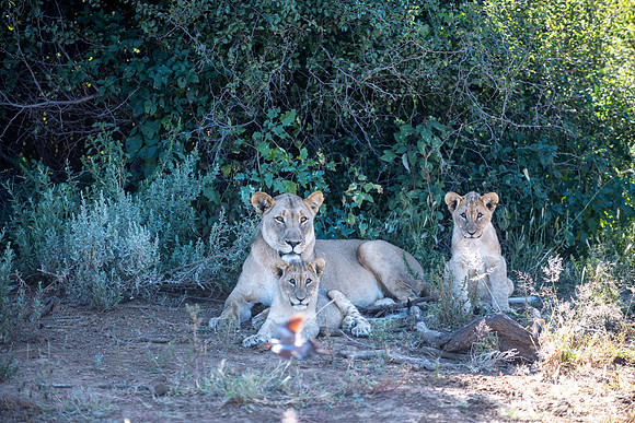 20220419_namibia-8973.jpg