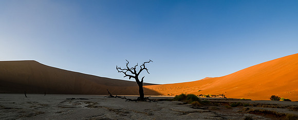 20220419_namibia-2975.jpg
