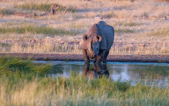 20220419_namibia-15974.jpg