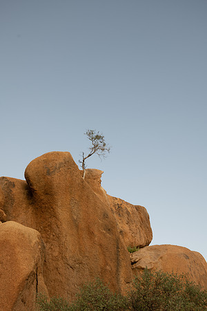 20220419_namibia-11049.jpg
