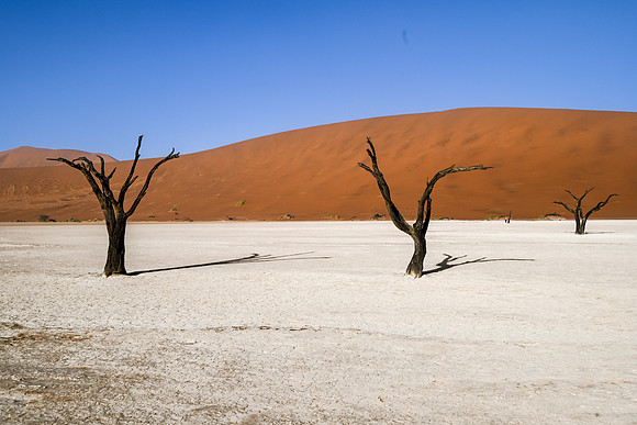 20220419_namibia-3198.jpg