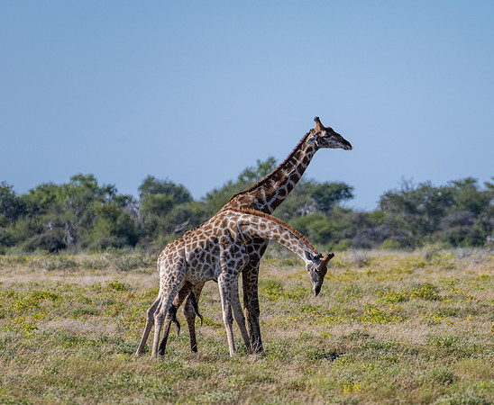 20220419_namibia-20644.jpg