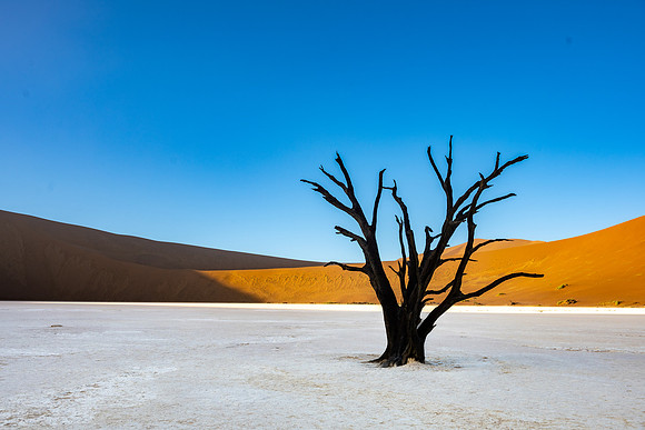 20220419_namibia-6594.jpg