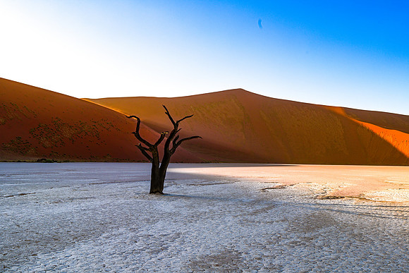 20220419_namibia-2811.jpg
