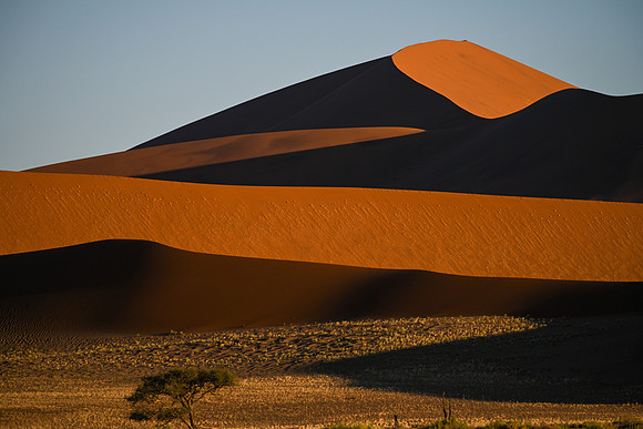 20220419_namibia-7312.jpg