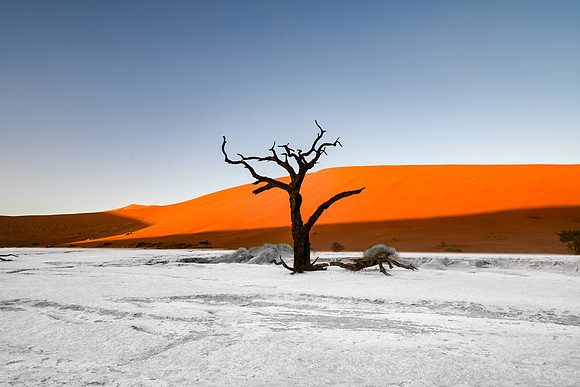 20220419_namibia-3076.jpg