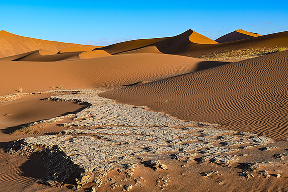 20220419_namibia-4455.jpg