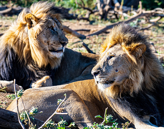 20220419_namibia-7438-2.jpg