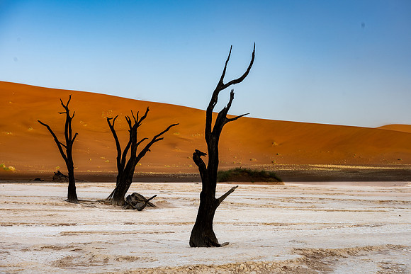 20220419_namibia-6752.jpg