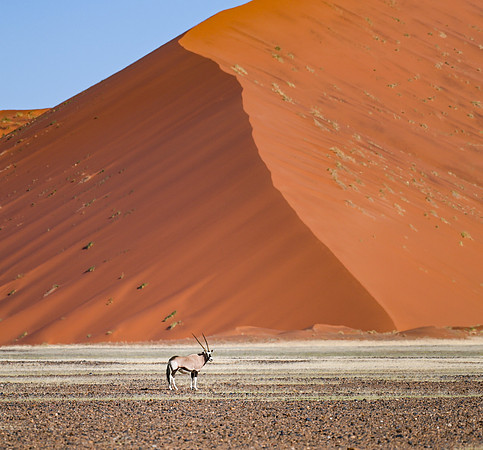 20220419_namibia-7131.jpg