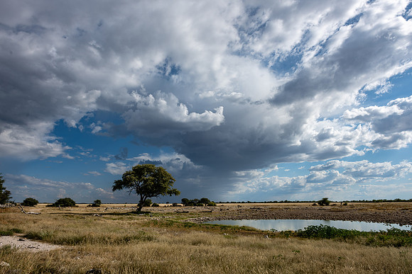 20220419_namibia-16861.jpg