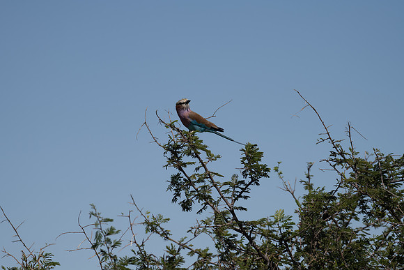 20220419_namibia-21309.jpg