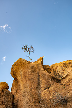 20220419_namibia-14536.jpg