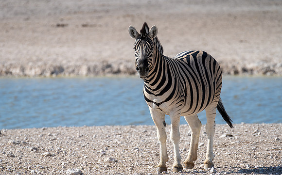 20220419_namibia-18689.jpg