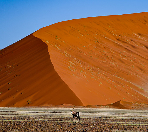 20220419_namibia-7092.jpg