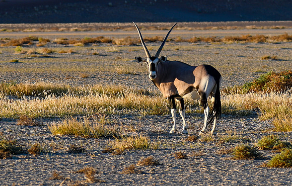 20220419_namibia-7402.jpg