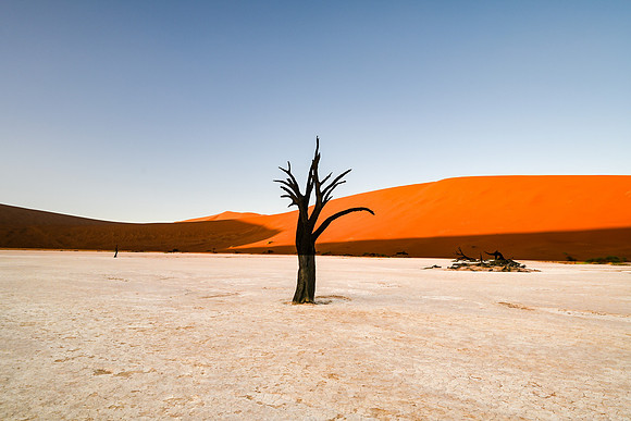 20220419_namibia-3267.jpg