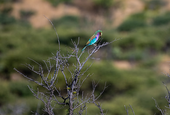 20220419_namibia-537.jpg