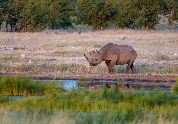 20220419_namibia-16577.jpg