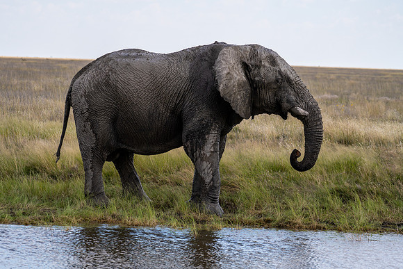 20220419_namibia-20821.jpg