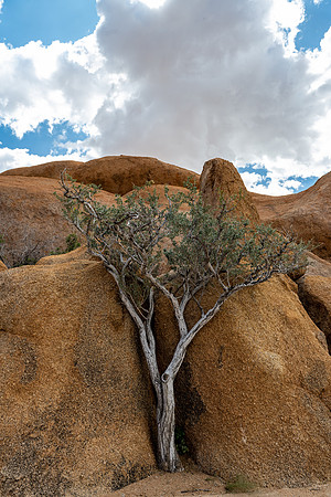 20220419_namibia-15217.jpg