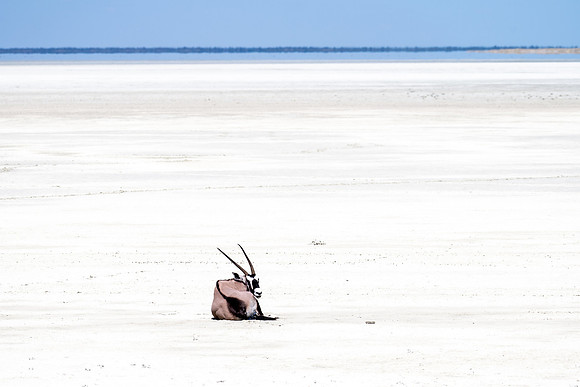 20220419_namibia-20521.jpg