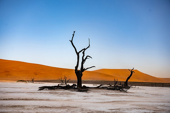 20220419_namibia-6777.jpg