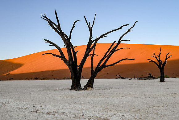 20220419_namibia-3353.jpg
