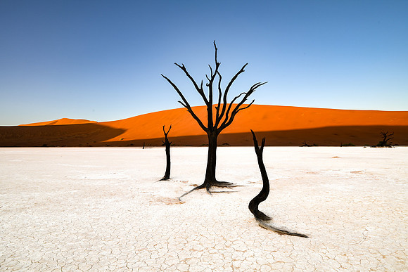 20220419_namibia-3221.jpg