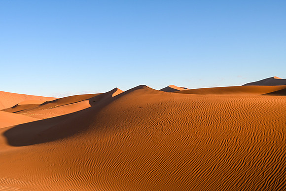 20220419_namibia-7677.jpg