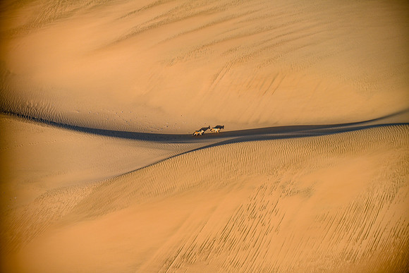 20220419_namibia-1689.jpg