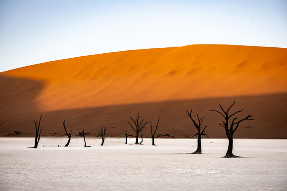 20220419_namibia-6860.jpg